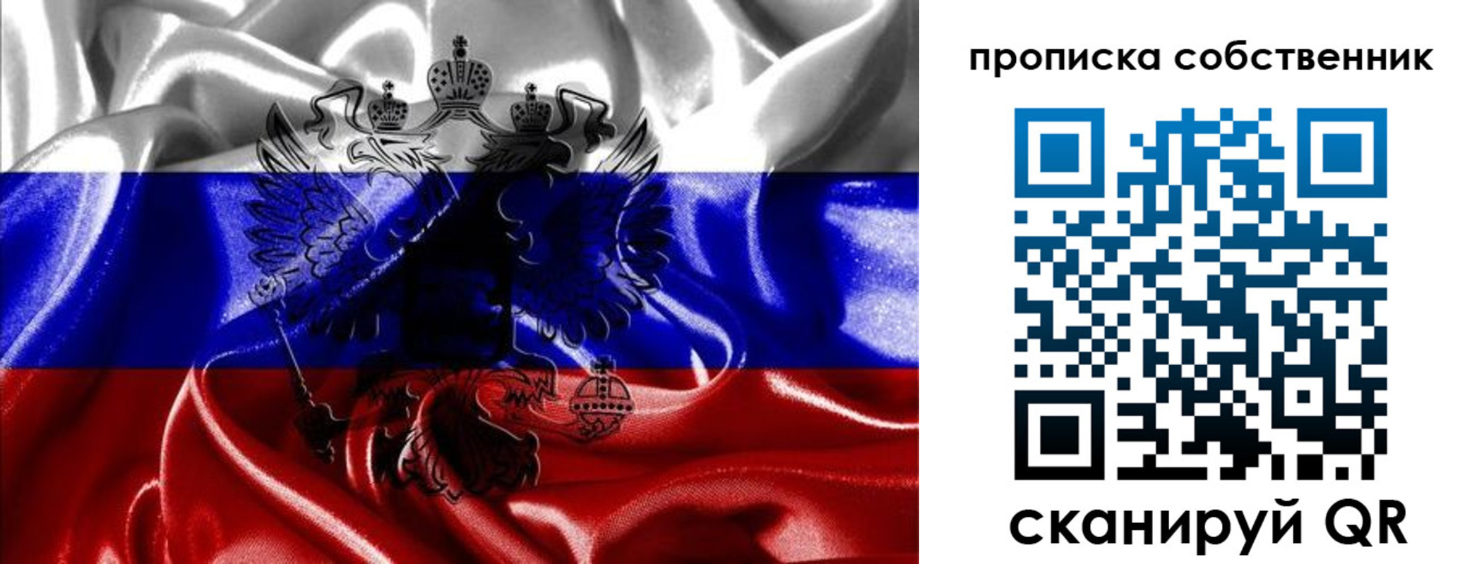прописка для школы в Купино